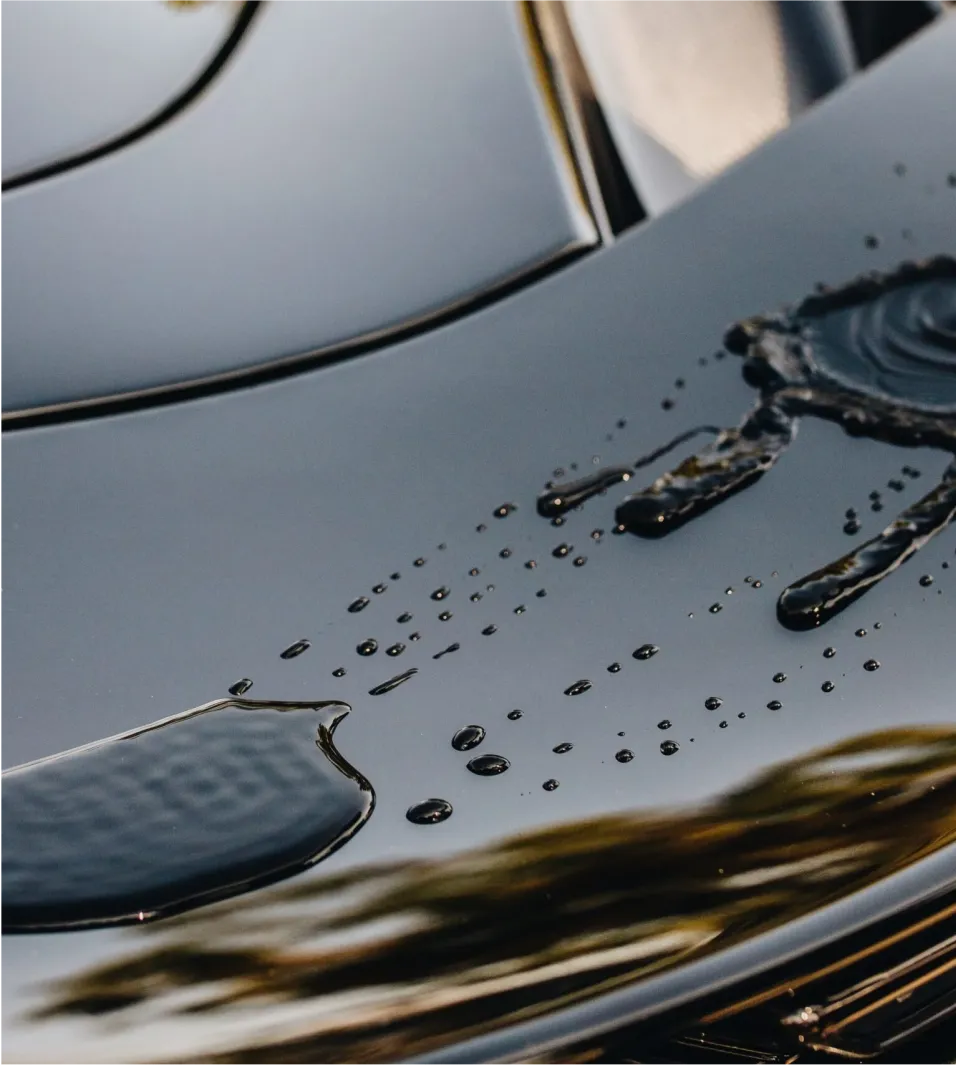 Hydrophobic Effect